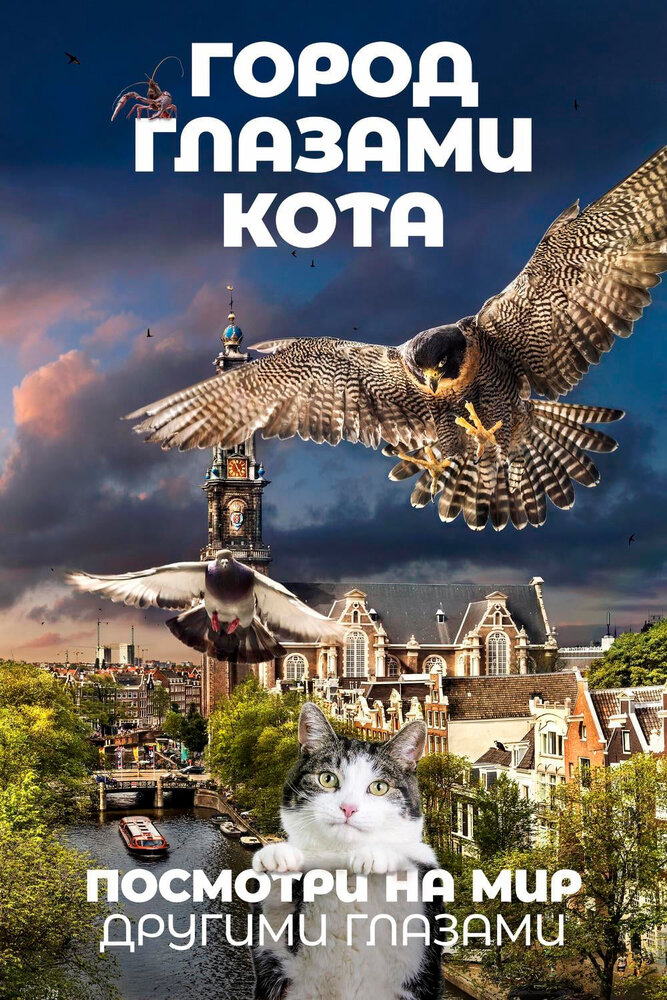 Город глазами кота (2018) постер