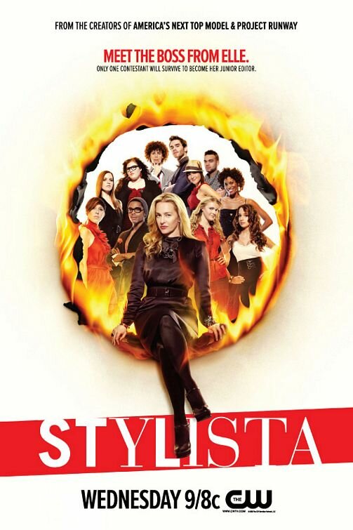 Стилистка (2008) постер