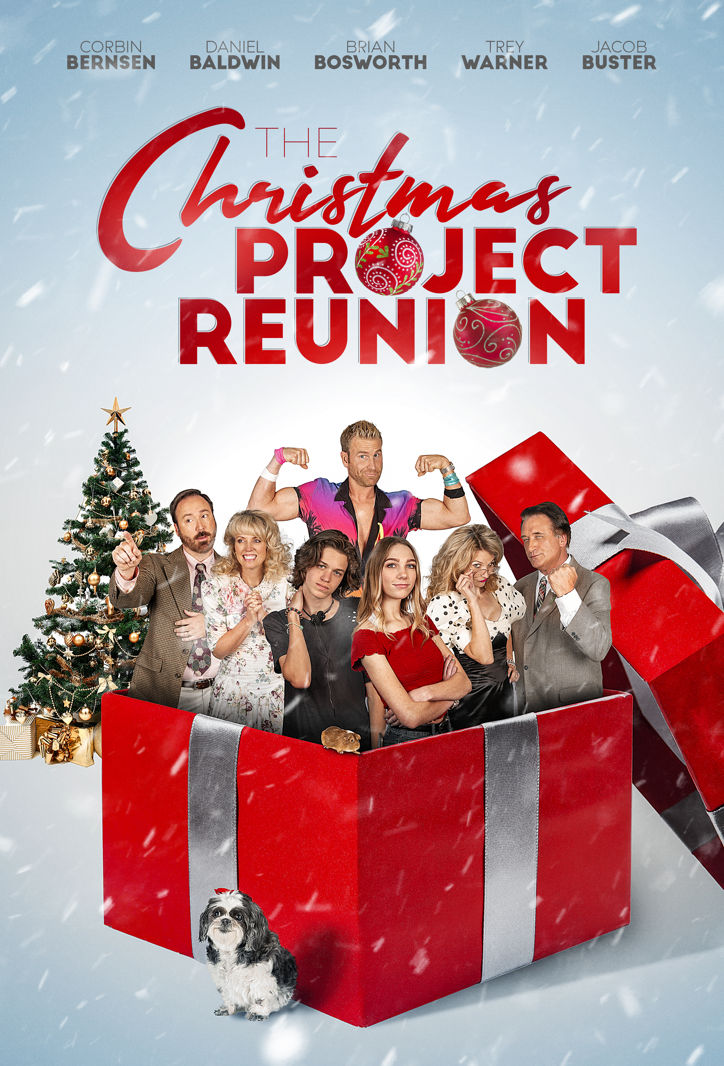 The Christmas Project 2 (2020) постер