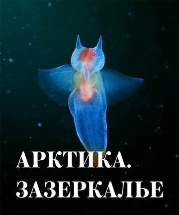 Арктика. Зазеркалье (2017)